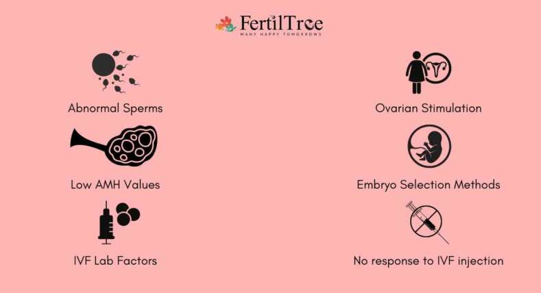 Top ivf failures reasons