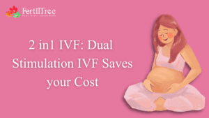 Dual Stimulation IVF