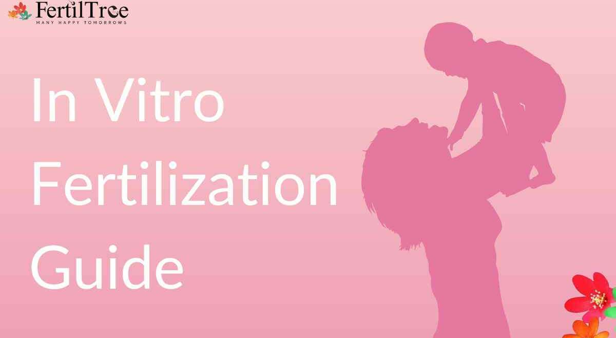 ivf step by step process