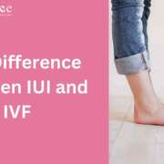 IUI vs IVF: The Procedures, Success Rates and Duration