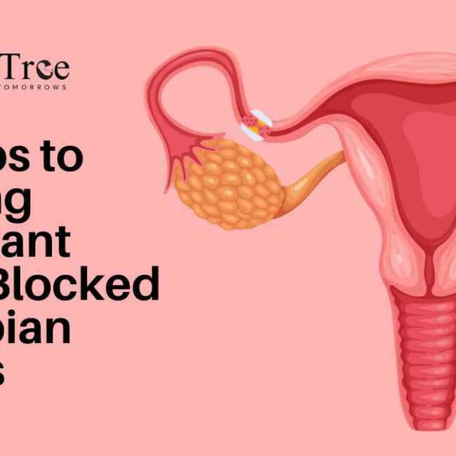 7 Steps to Getting Pregnant With Blocked Fallopian Tubes