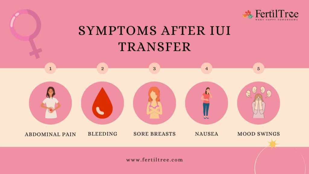 6 Symptoms Of IUI Pregnancy