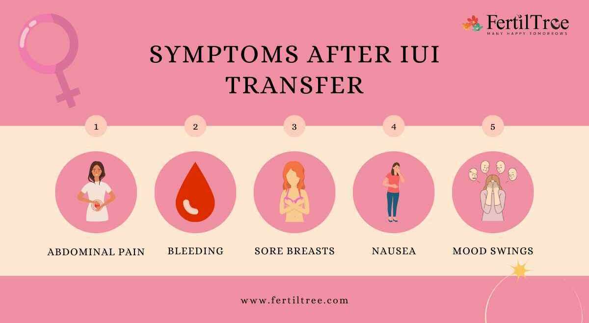 symptoms of iui success
