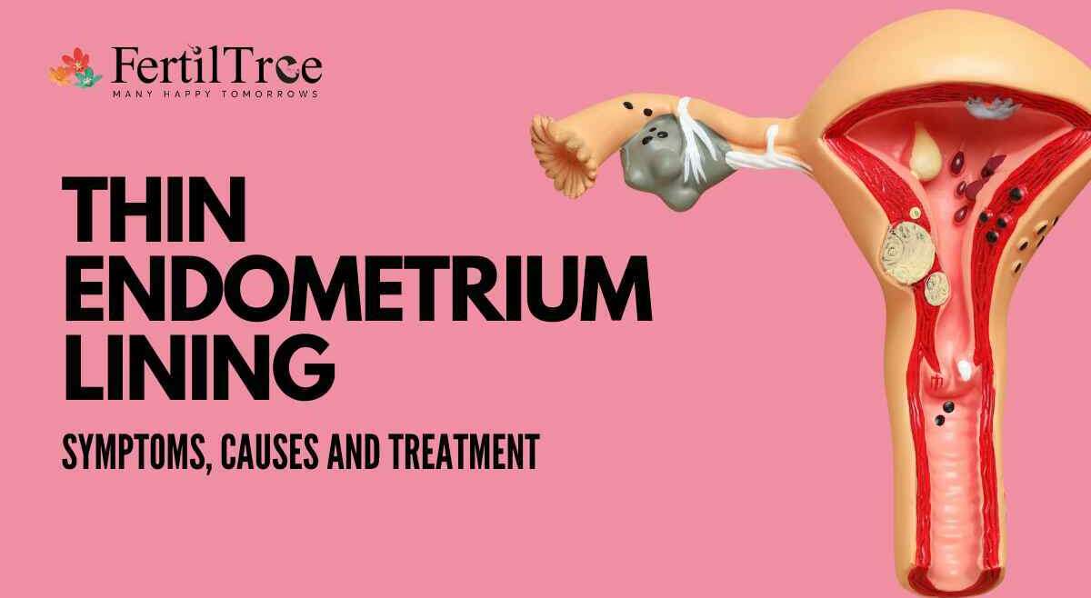 Thin Endometrium Lining Symptoms, Causes & Treatments