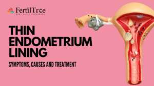 Thin Endometrium Lining Symptoms, Causes & Treatments