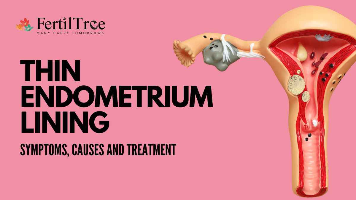 Thin Endometrium Lining  Symptoms, Causes & Treatments