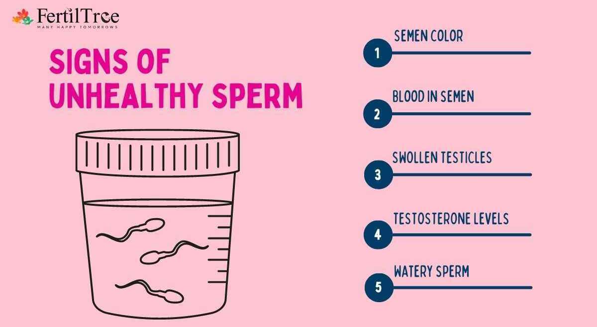 top 5 signs of unhealthy sperms