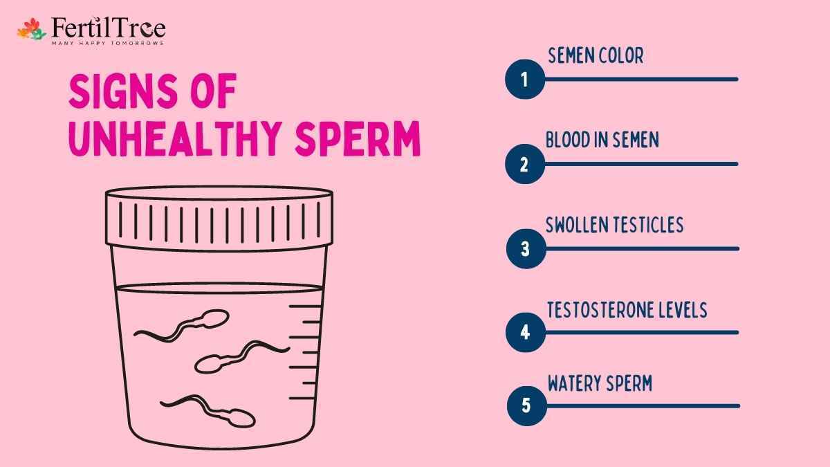 Signs Unhealthy Sperm 