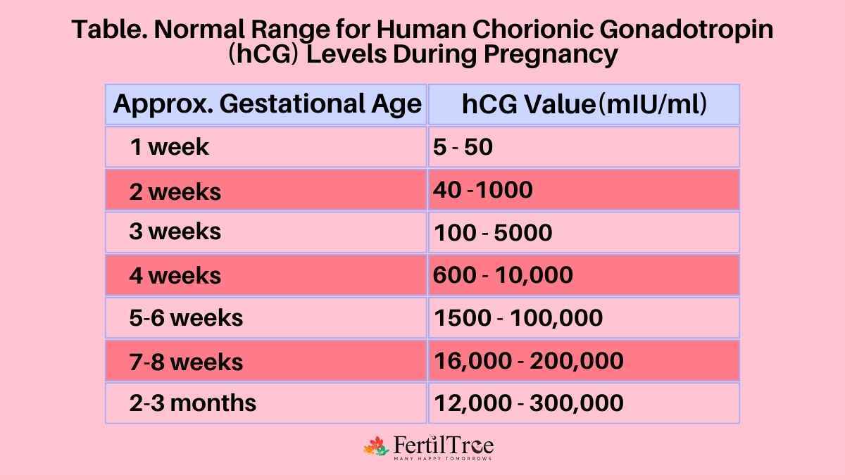 hCG Levels After IVF Embryo Transfer by Dr Firuza Parikh