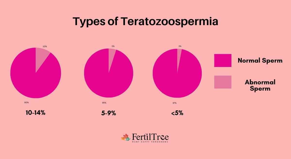 Types of Teratozoospermia