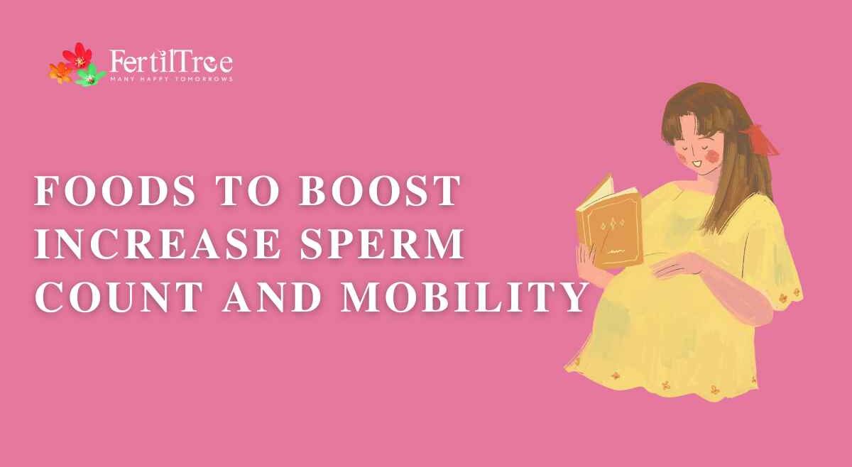 foods to increase sperm count and motility