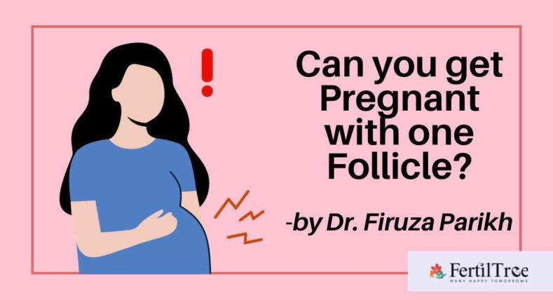 Can you get pregnant with one follicle