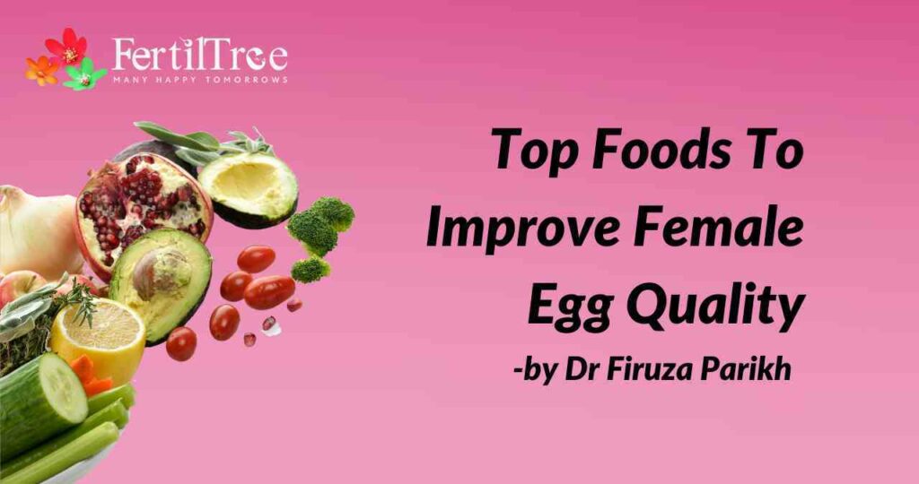 Top Foods To Improve Female Egg Quality