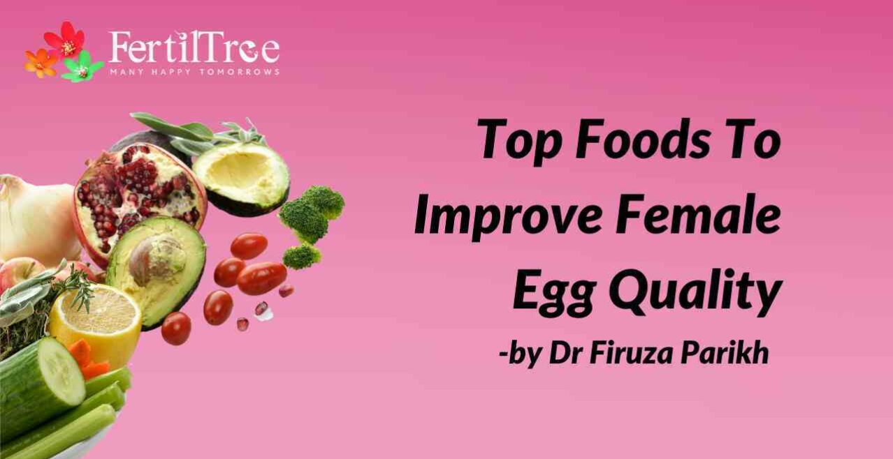 top foods to improve egg quality
