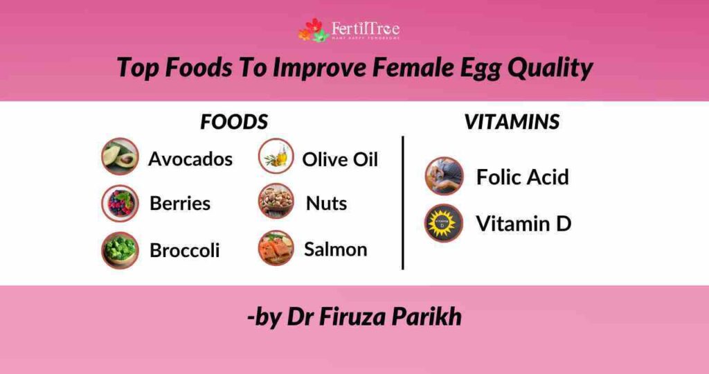 Top Foods To Improve Female Egg Quality