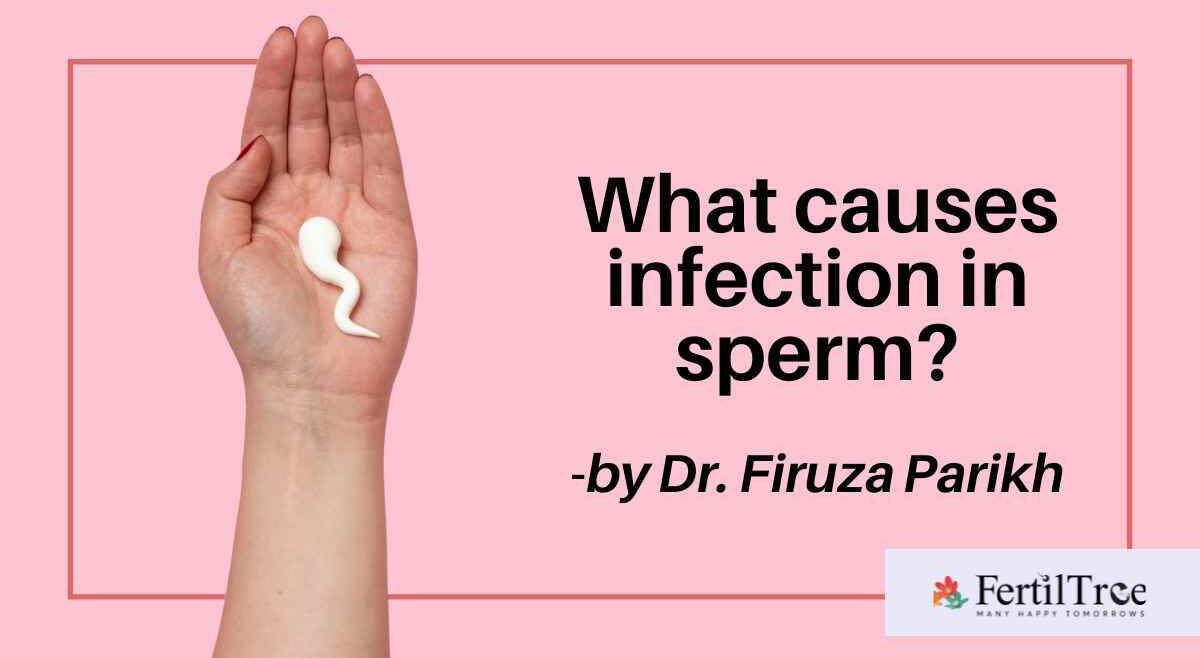 what causes infection in sperm