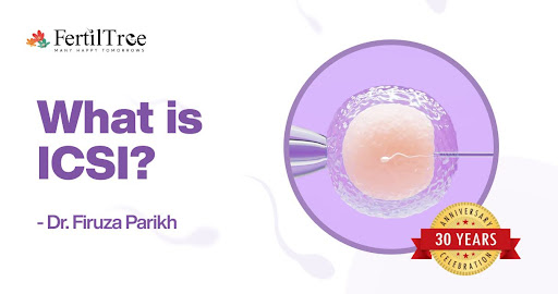 What Is Intracytoplasmic Sperm Injection ICSI ICSI Procedure In India