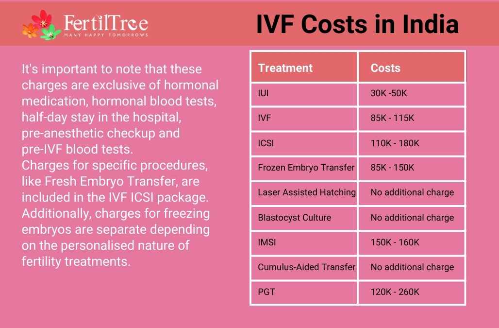 IVF Treatment Cost in India & Factors To Consider in 2024