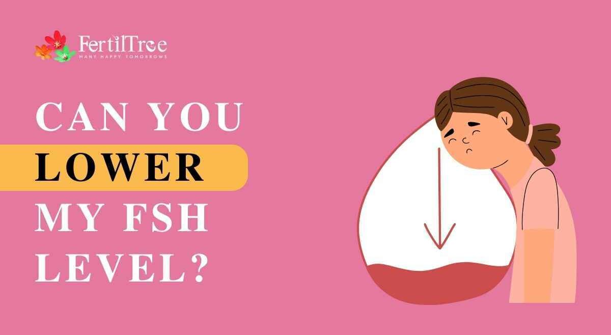 Can you lower my FSH Level?