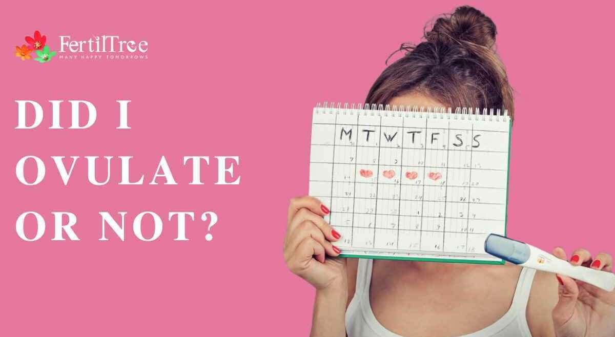 Did I Ovulate or not?