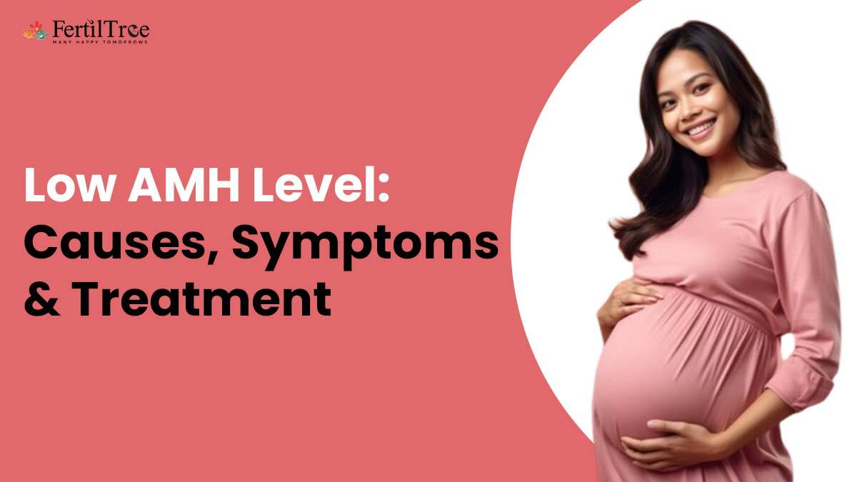 Low AMH Level: Causes, Symptoms & Treatment