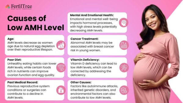 Low AMH Level: Causes, Symptoms & Treatment