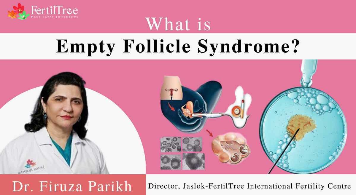 What is Empty follicle Syndrome ?