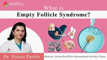 Empty Follicle Syndrome: Types, Causes, Diagnosis & Treatment | Fertile Tree