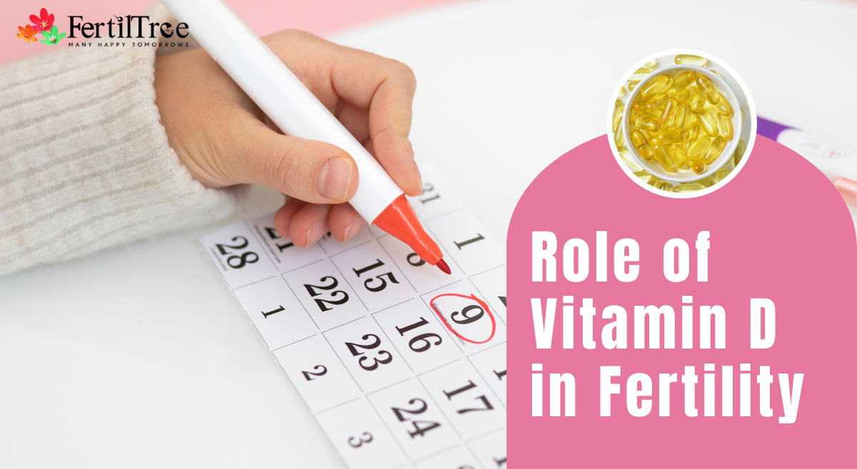 Role of Vitamin D in Fertility