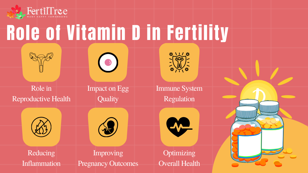 Role of Vitamin D in Fertility: Facts, Benefits, Studies & Expert Insights