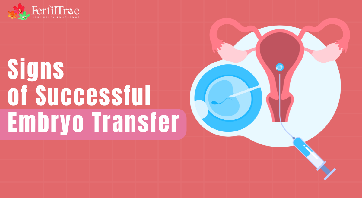 Signs of Successful Embryo Transfer