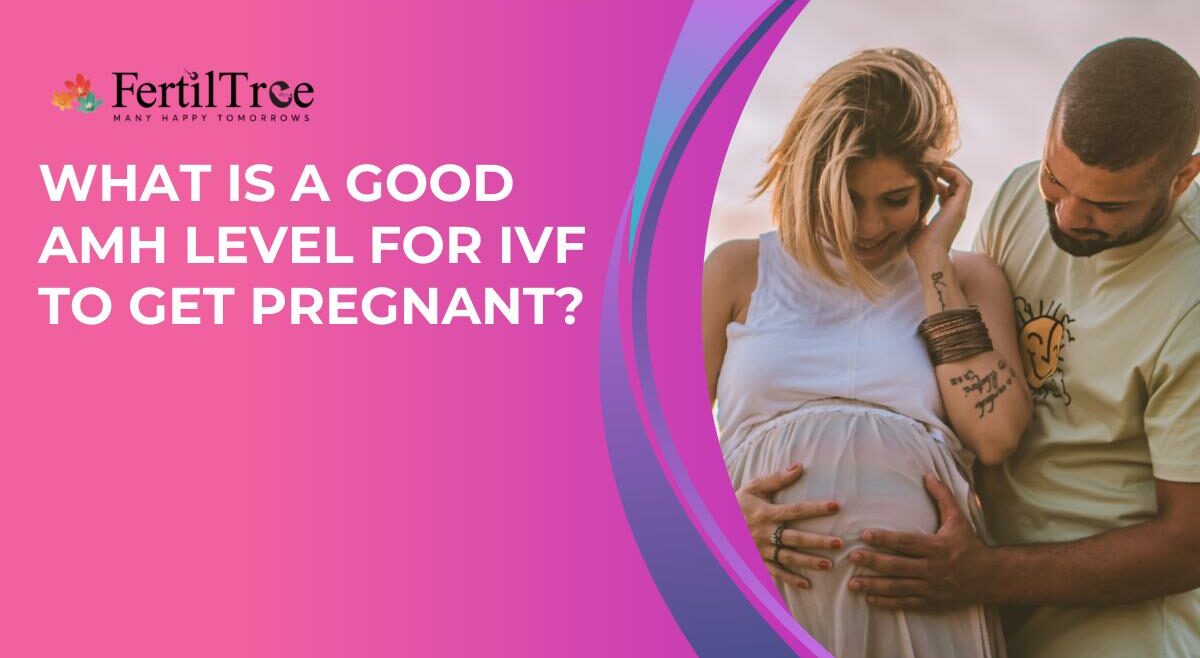What is a Good AMH Level for IVF to Get Pregnant