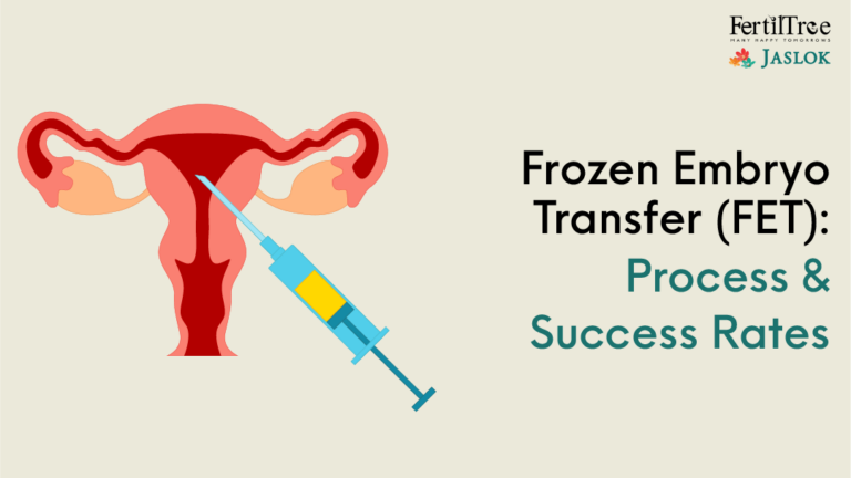 Frozen Embryo Transfer (FET): Process & Success Rates